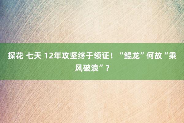 探花 七天 12年攻坚终于领证！“鲲龙”何故“乘风破浪”？