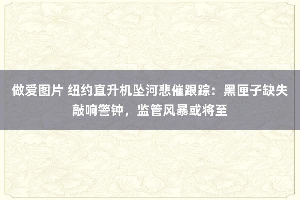 做爱图片 纽约直升机坠河悲催跟踪：黑匣子缺失敲响警钟，监管风暴或将至