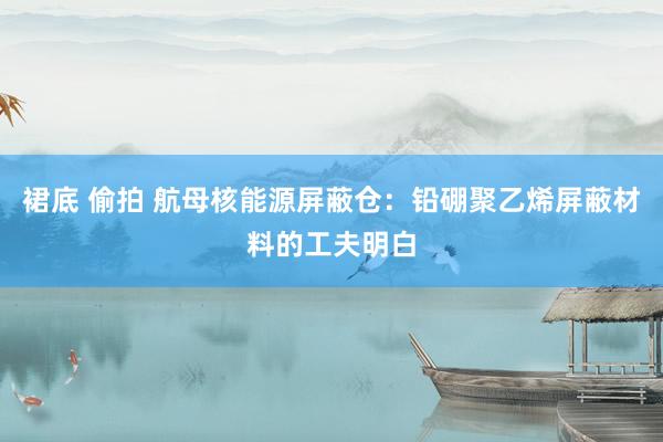 裙底 偷拍 航母核能源屏蔽仓：铅硼聚乙烯屏蔽材料的工夫明白