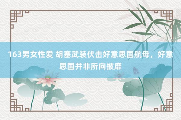 163男女性爱 胡塞武装伏击好意思国航母，好意思国并非所向披靡