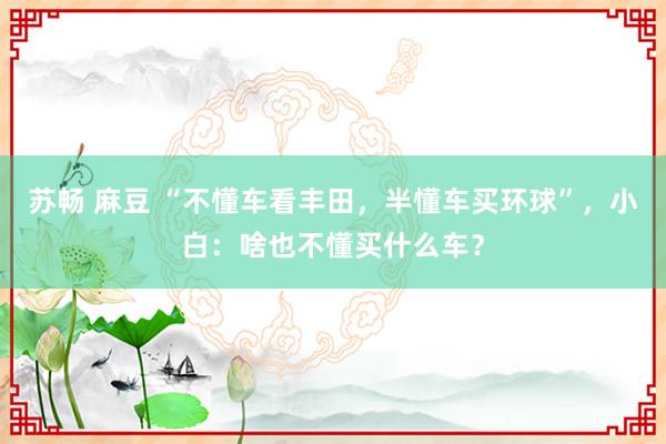 苏畅 麻豆 “不懂车看丰田，半懂车买环球”，小白：啥也不懂买什么车？