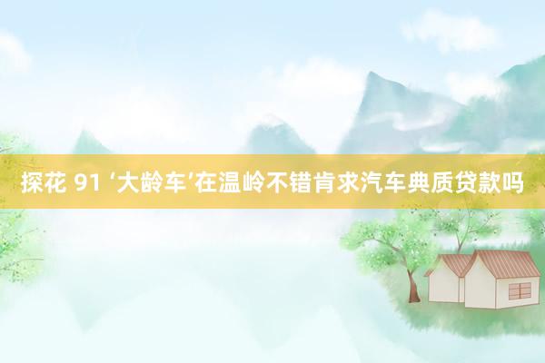 探花 91 ‘大龄车’在温岭不错肯求汽车典质贷款吗