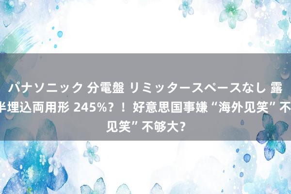 パナソニック 分電盤 リミッタースペースなし 露出・半埋込両用形 245%？！好意思国事嫌“海外见笑”不够大？